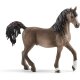 Schleich - Horse Club - 13907 Araber Hengst (A)