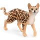 Schleich - Farm World - 13918 Bengal Katze (A)