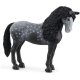 Schleich - Horse Club - 13922 Pura Raza Española Stute