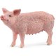 Schleich - Farm World - 13933 Schwein