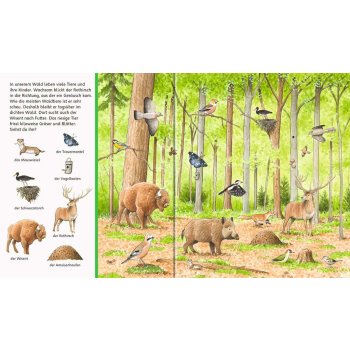 Ravensburger - Sachen suchen: Tiere im Wald