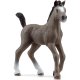 Schleich - Horse Club - 13957 Cheval de Selle Francais Fohlen