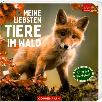 Coppenrath - Meine liebsten Tiere im Wald