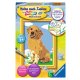 Ravensburger - Malen nach Zahlen - Kleiner Golden Retriever