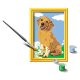 Ravensburger - Malen nach Zahlen - Kleiner Golden Retriever