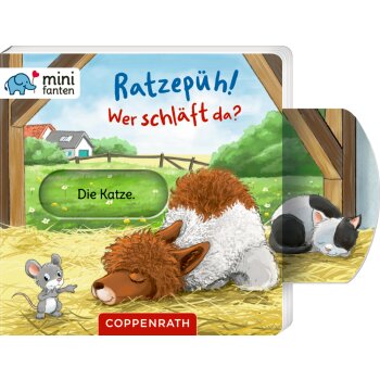 Coppenrath - minifanten 41: Ratzepüh! Wer...