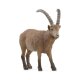 Schleich - Wild Life - 14873 Steinbock