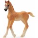 Schleich - Horse Club - 13984 Araber Fohlen