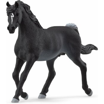 Schleich - Horse Club - 13981 Araber Hengst